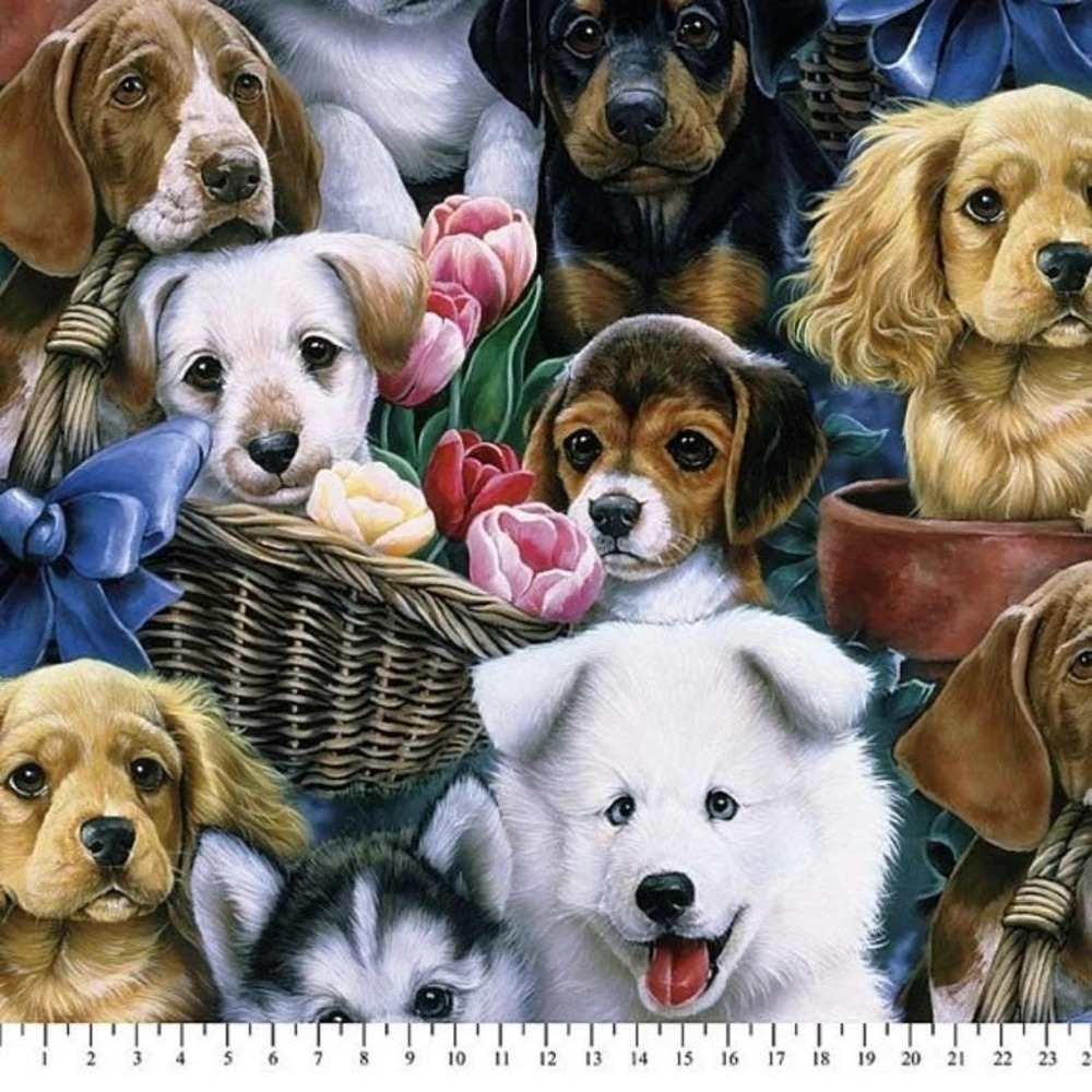 Art Licensing Cotton 18" X 21" Valentine's Puppies Fat Quarter Fabric,‎ 1 Each